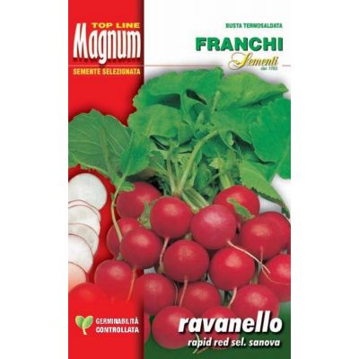 Ravanello r.red sanova busta Magnum