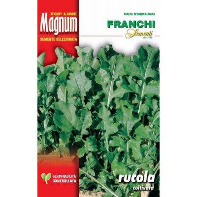 Rucola coltivata f.larga busta Magnum