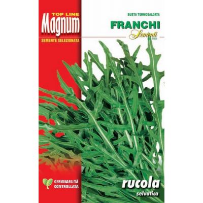 Rucola selvatica busta Magnum