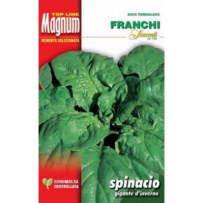 Spinac. gigante invierno busta Magnum