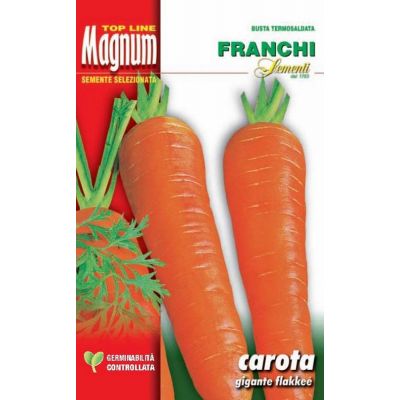 Carota flakkee busta Magnum