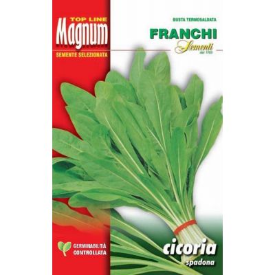 Cicoria spadona busta Magnum