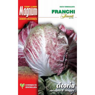 Cicoria viariegata di Chioggia busta Magnum