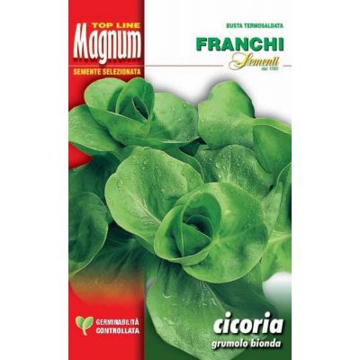 Cicoria grumolo bionda busta Magnum