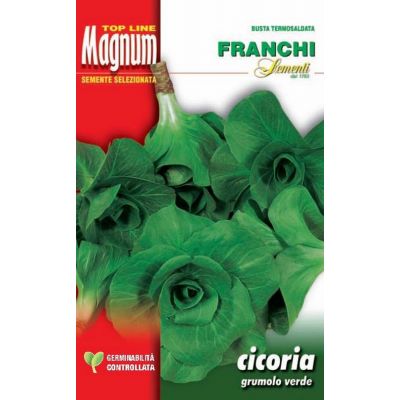 Cicoria grumolo verde busta Magnum