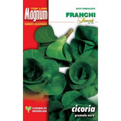 Cicoria grumolo nero busta Magnum