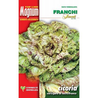 Cicoria var.castelfranco busta Magnum