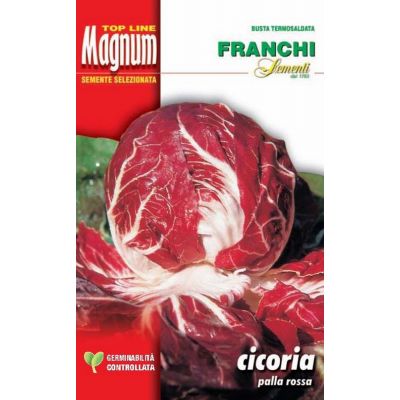 Cicoria palla rossa prec. busta Magnum