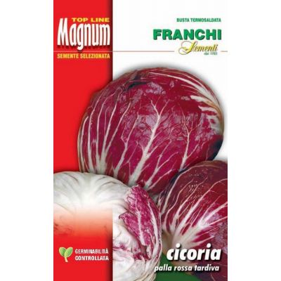 Cicoria Rossa Chioggia 6 tard. busta Magnum