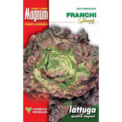 Lattuga quattro stagioni busta Magnum