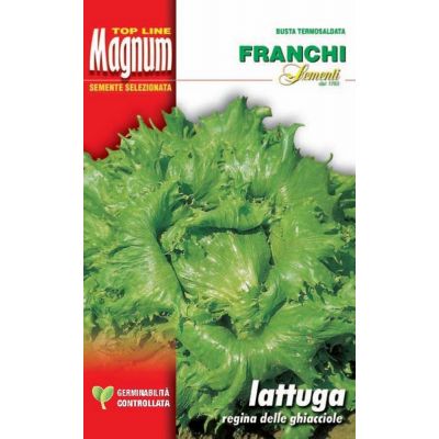 Lattuga regina ghiacci busta Magnum