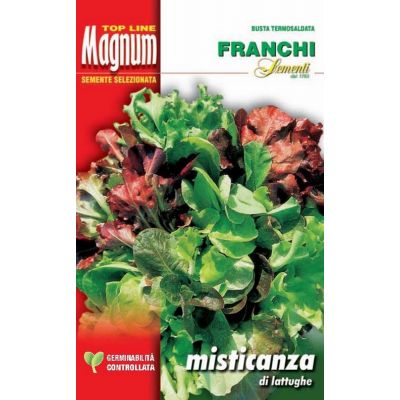 Misticanza lattughe busta Magnum