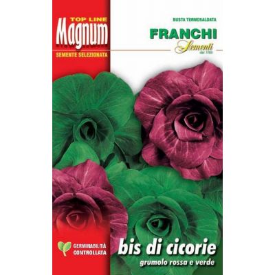 Bis di cicorie busta Magnum