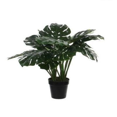 Monstera artificiale cm. 60 