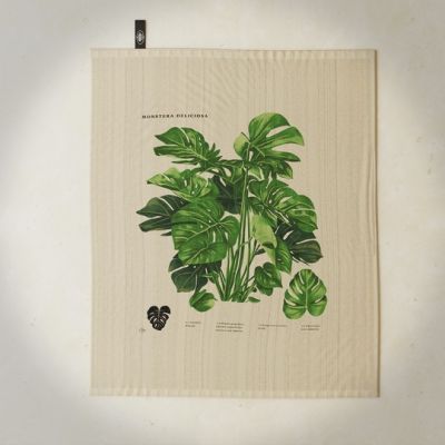 Strofinaccio Monstera Agricola