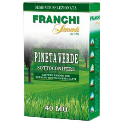 Semi per prato pineta verde sottoconifere 1 Kg