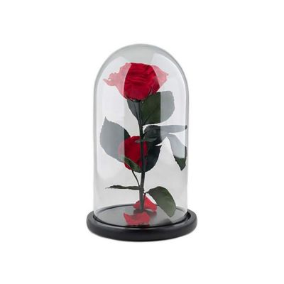 Ars Nova Rosa Incantata colore rosso (30 cm) 