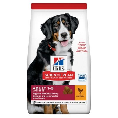 Science Plan Adult Large Pollo 14 Kg