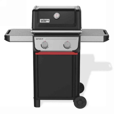 Barbecue spirit e-210