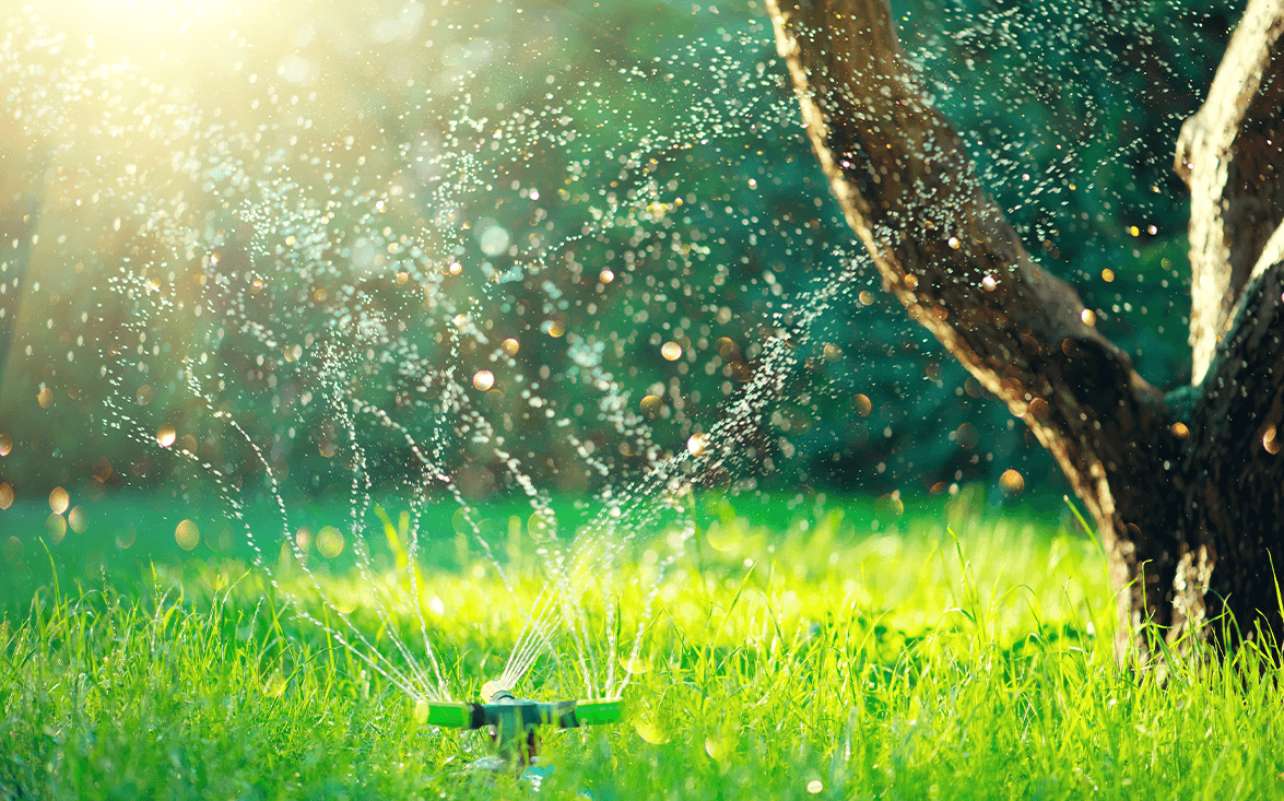 Irrigazione per l'orto e il giardino: trucchi e tecniche speciali