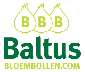 Baltus