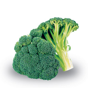 Cavolo broccolo