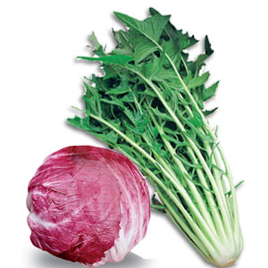 Cicorie e Radicchio